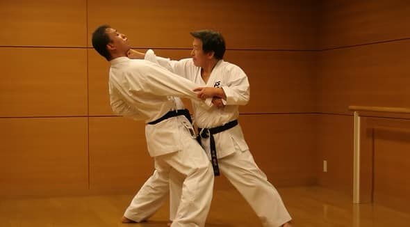 Soshinkan Karate Edzés